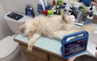 27: Stuffocation, Smash the Patriarchy & Toenail Confessions